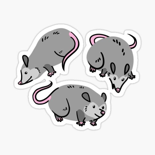 Discover Blobby Possum - Minimalist Possum Design