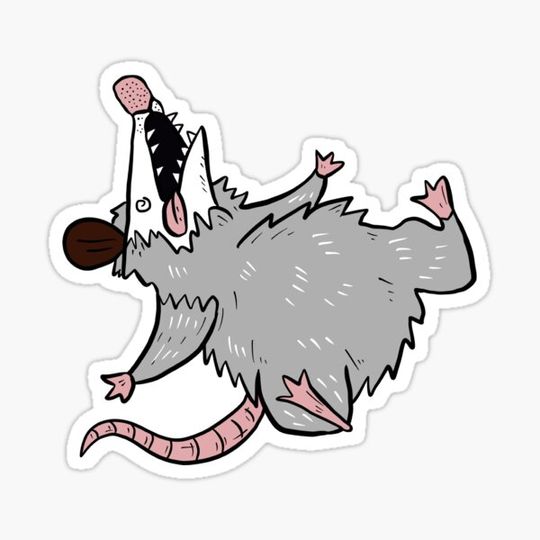 Discover Funny Opossum