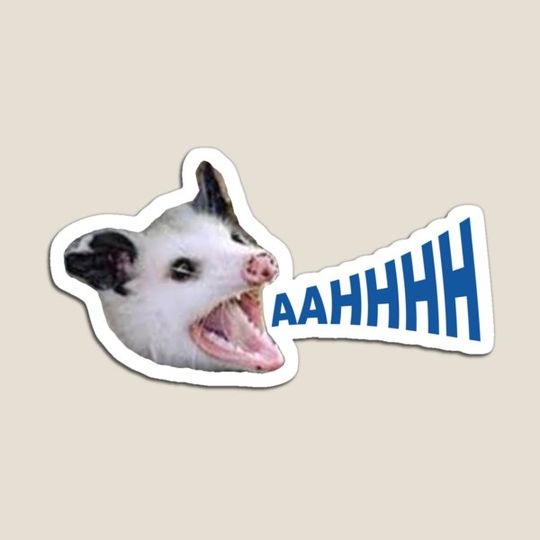 Discover Opossum AAHHHHHH