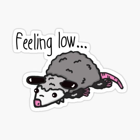 Discover Fuzzy possum feeling low