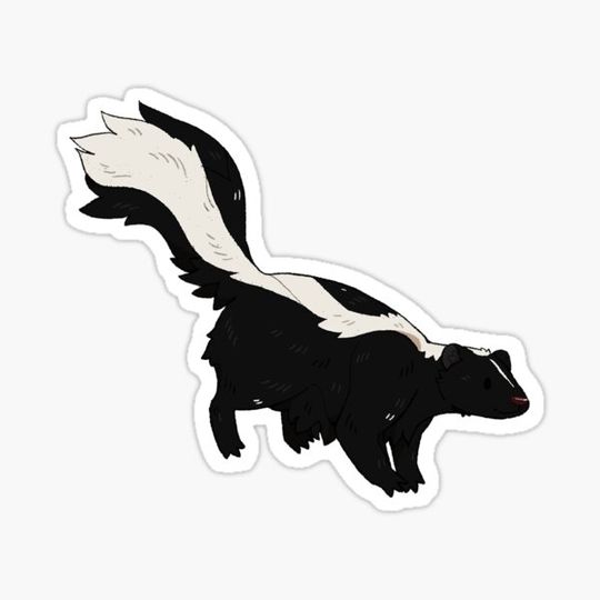 Discover Skunk