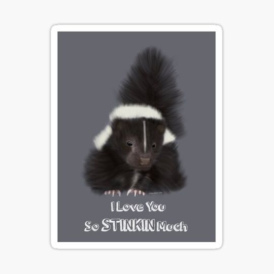 Discover I love You So Stinkin Much Skunk