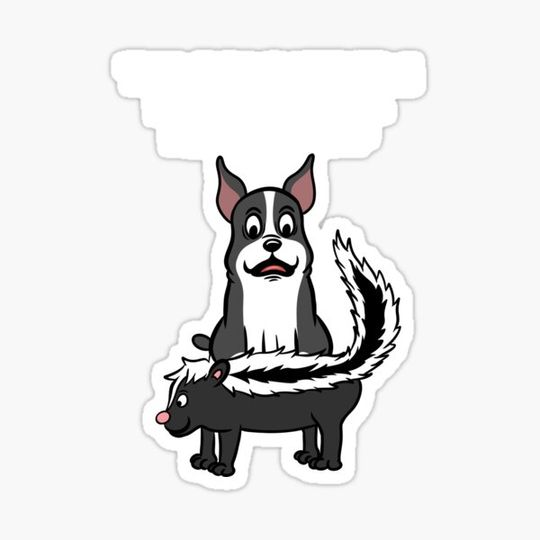 Discover Boston Terrier Skunk Butthole