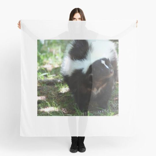 Discover Sweet Skunk