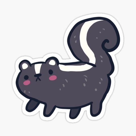 Discover Skunk illustration
