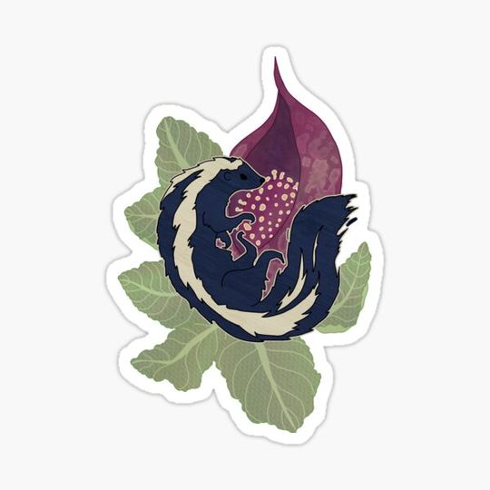 Discover Skunk Cabbage
