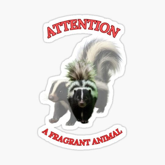 Discover cool skunks