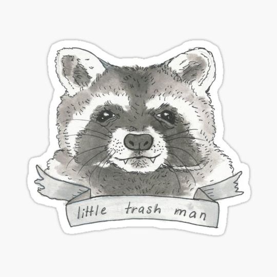 Discover raccoon
