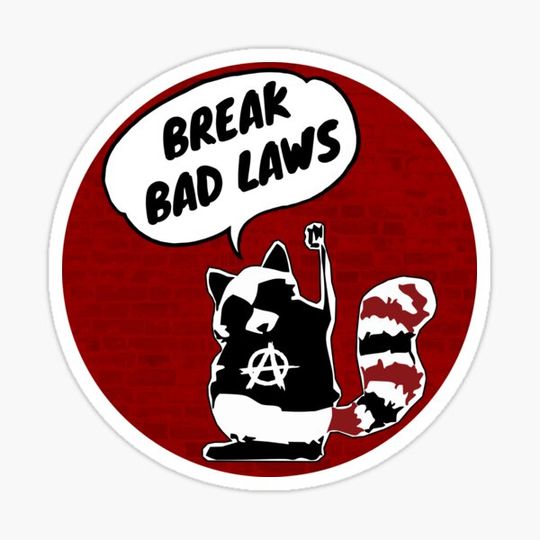 Discover AnarchoRacoon