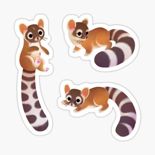 Discover Ringtail - yellow