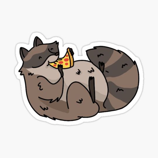 Discover Pizza raccoon