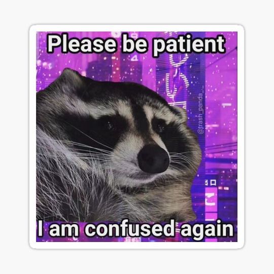 Discover Silly raccoon meme