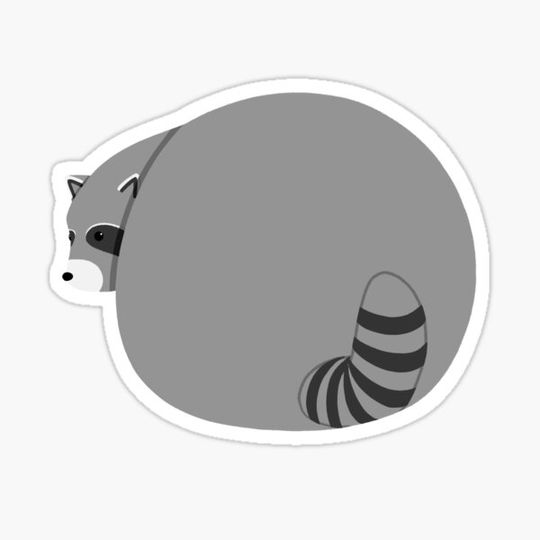 Discover An Absolute Unit Raccoon butt
