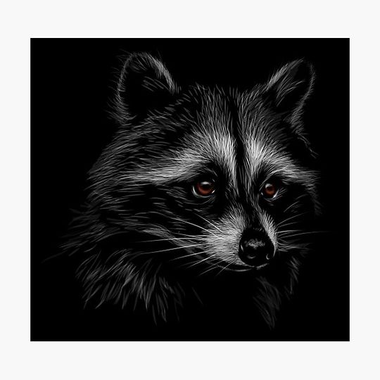 Discover Raccoon Portrait
