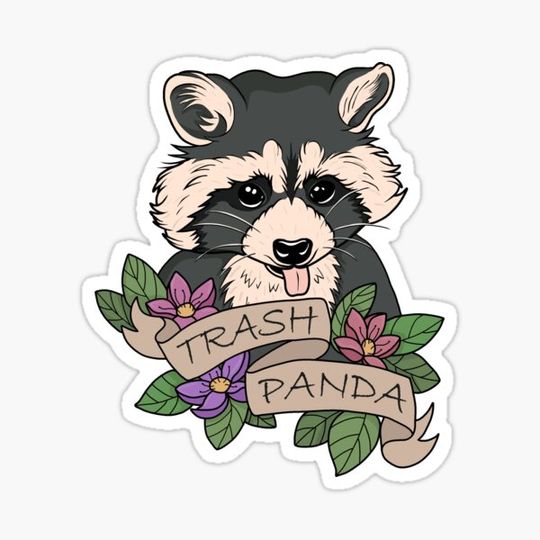Discover Raccoon - Trash Panda