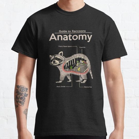 Discover Anatomy of a Raccoon
