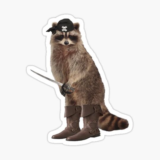 Discover Pirate Raccoon