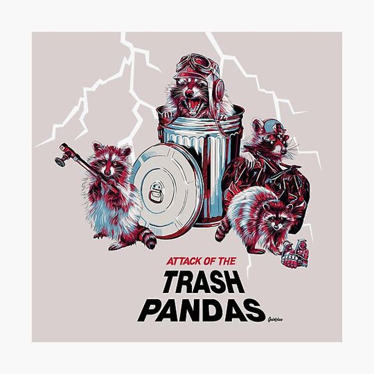 Discover Attack of the trash pandas