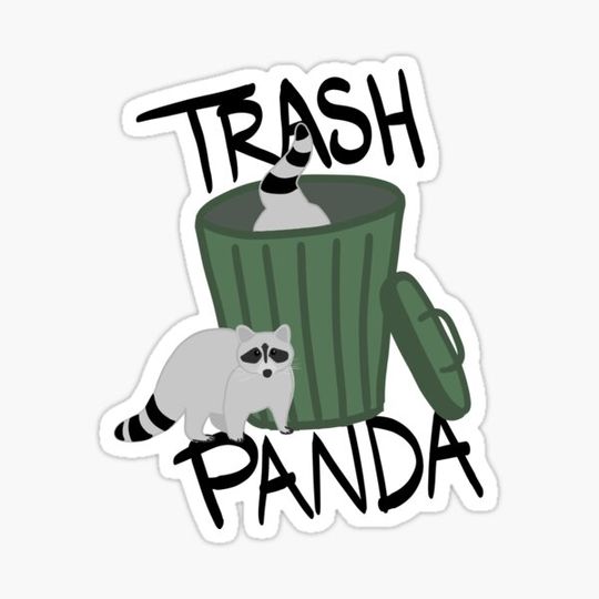 Discover Trash panda raccoon