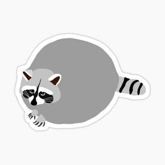 Discover Chubby Raccoon