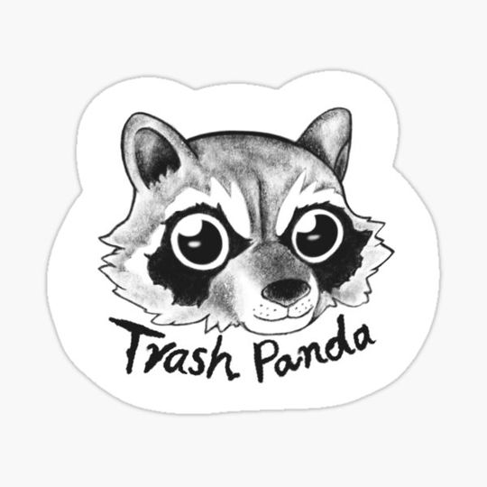 Discover raccoon ( trash panda)