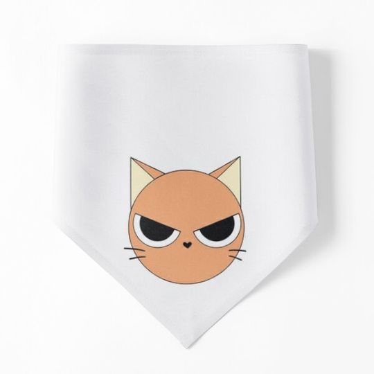 Discover Orange Cat So Cute