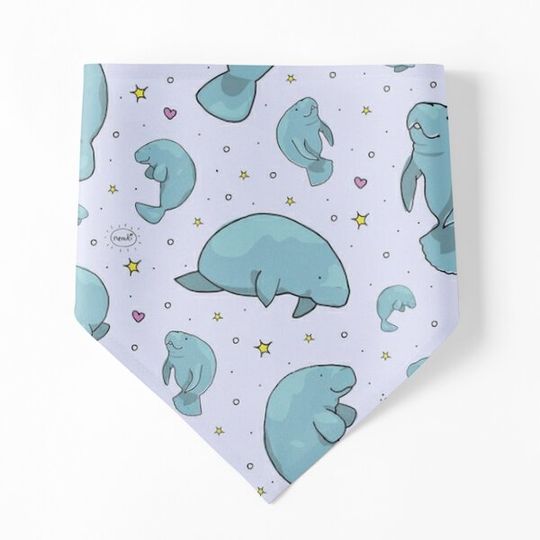 Discover Manatees