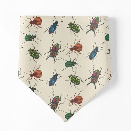 Discover Australian Beetles