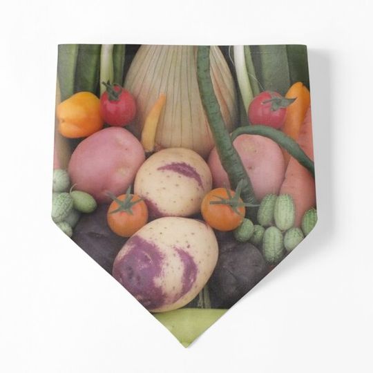 Discover ExtraVEGanza