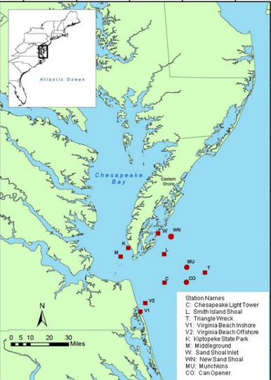 Discover Vintage Map of the Chesapeake Bay (1901) Premium Matte Vertical Poster