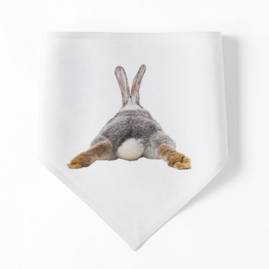 Discover Cute Bunny Rabbit Tail Butt Image Picture