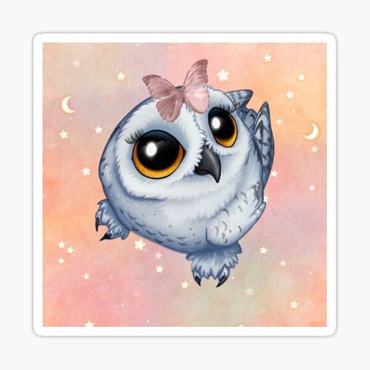 Discover cuddly owl