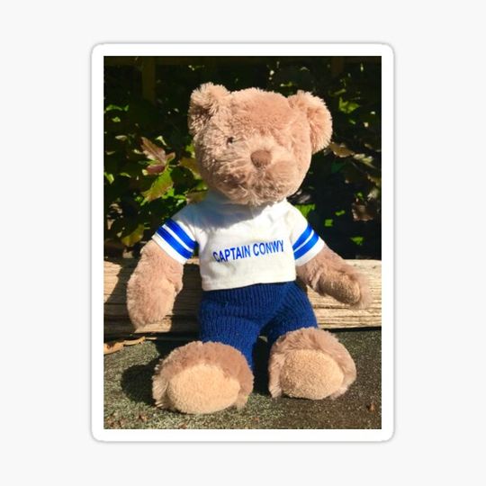 Discover Captain Conwy  super bear,
