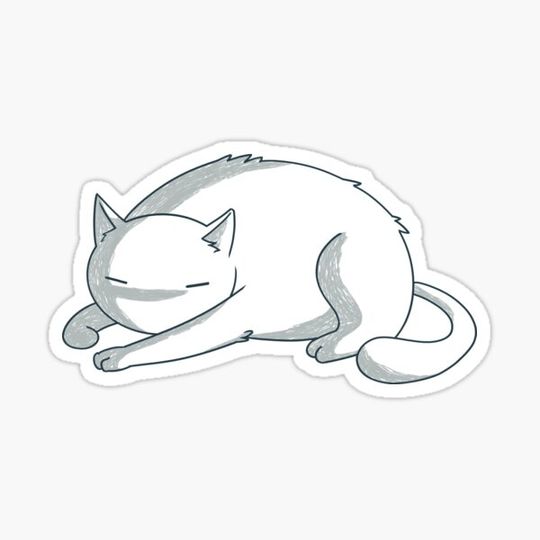 Discover Sleeping cuddly cat
