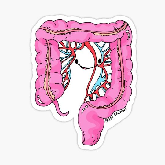 Discover Cuddly Colon Anatomy Doodle