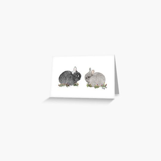 Discover Shadow and Darwin