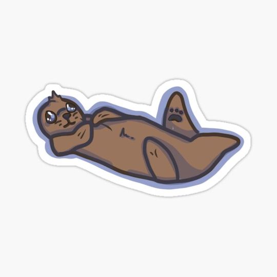 Discover Otter