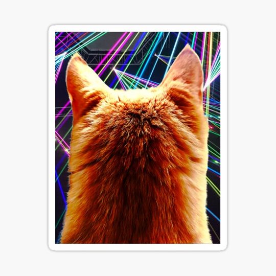 Discover DELILAH CAT on the Dance Floor
