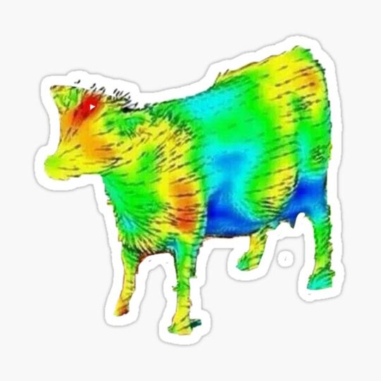 Discover aerodynamics of a cow