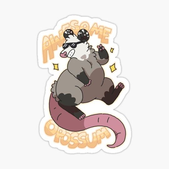 Discover Awesome Opossum