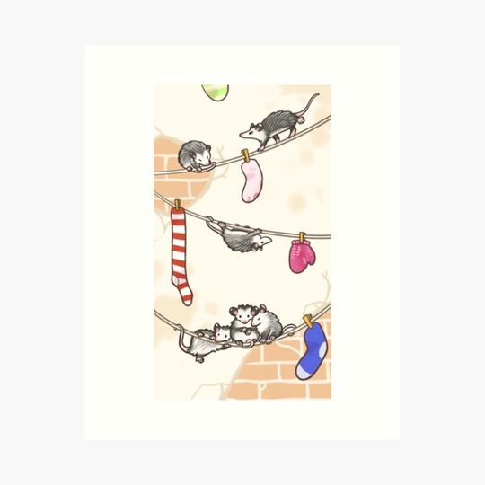 Discover Opossum lines