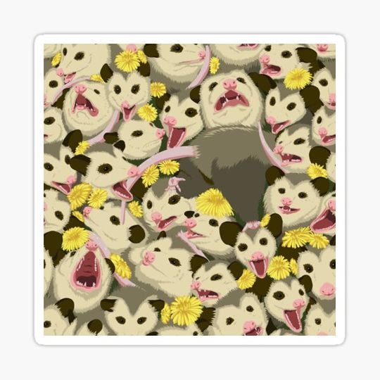 Discover A Pile of Possums