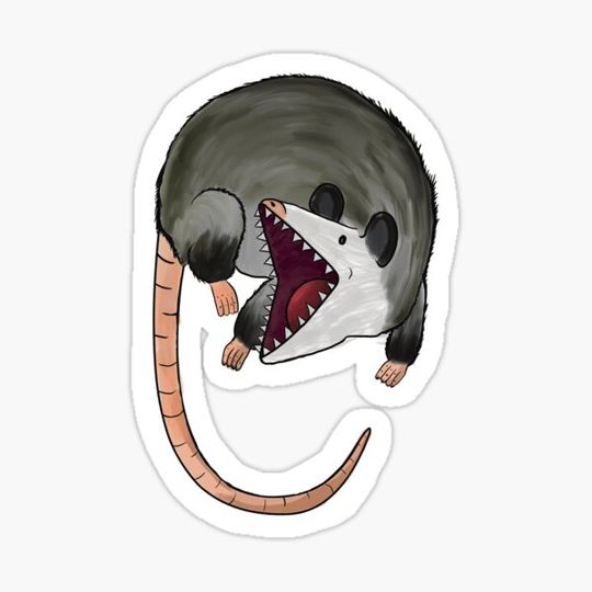 Discover opossum