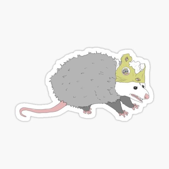 Discover trash queen