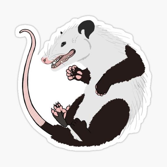 Discover Opossum