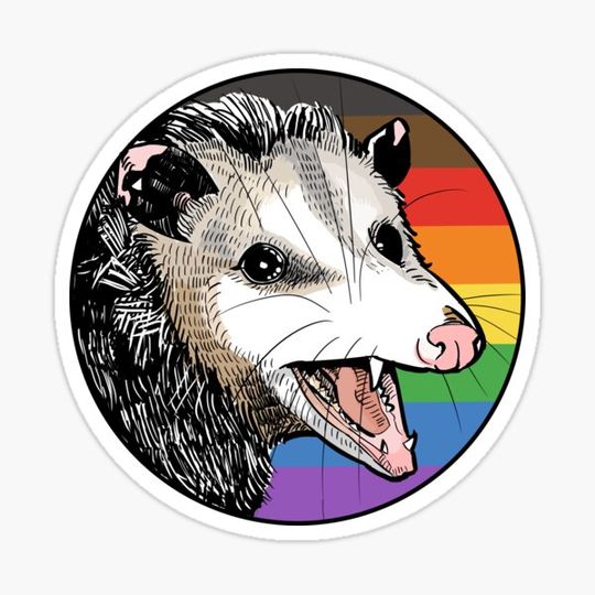 Discover Pride Opossum - Gay Flag