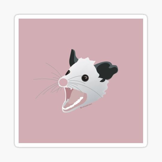 Discover Opossum friend