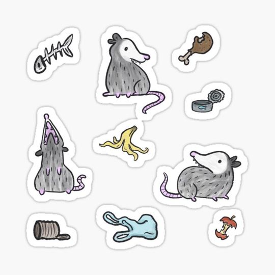 Discover Opossum Party