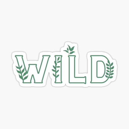 Discover Wild