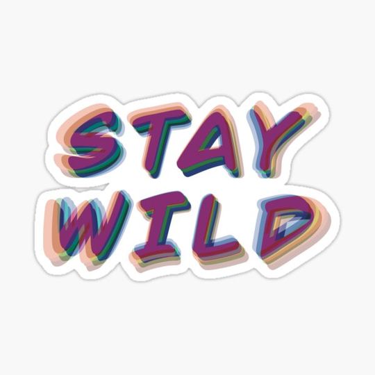 Discover Stay Wild